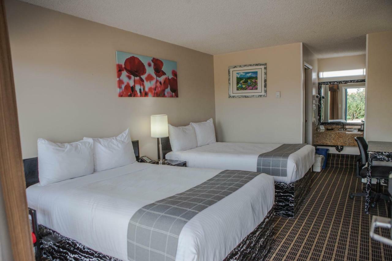 Canadian Motel נורת' בטלפורד מראה חיצוני תמונה